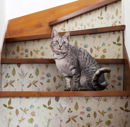 un gatto su un gradino di una scala decorata con mt fleece pressed flower.